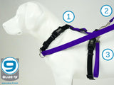 Blue-9 Balance Harness