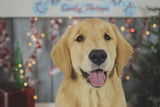 Puppy Manners - Thursday’s @ 6pm