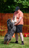Obedience & Rally Ring Skills