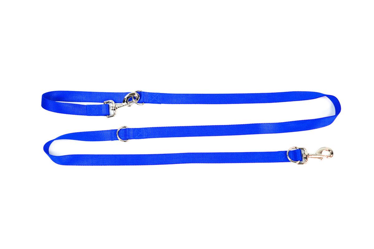 Blue-9 Collars and Leashes